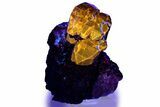 Fluorescent Zircon Crystals and Magnetite in Biotite Schist - Norway #363927-1
